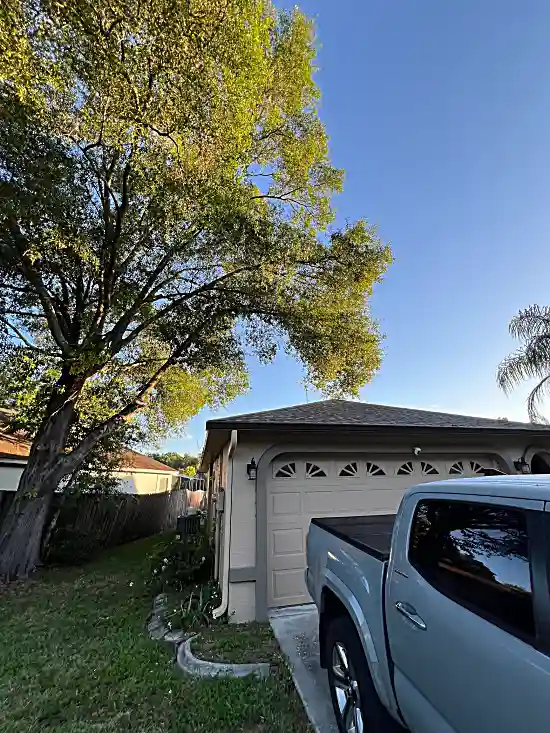 Residential Tree Removal