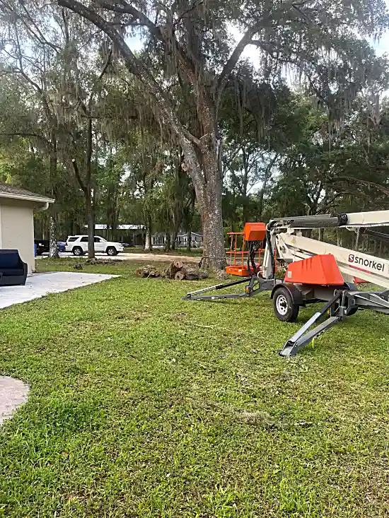 Stump Grinding Service